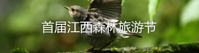 首屆江西森林旅游節